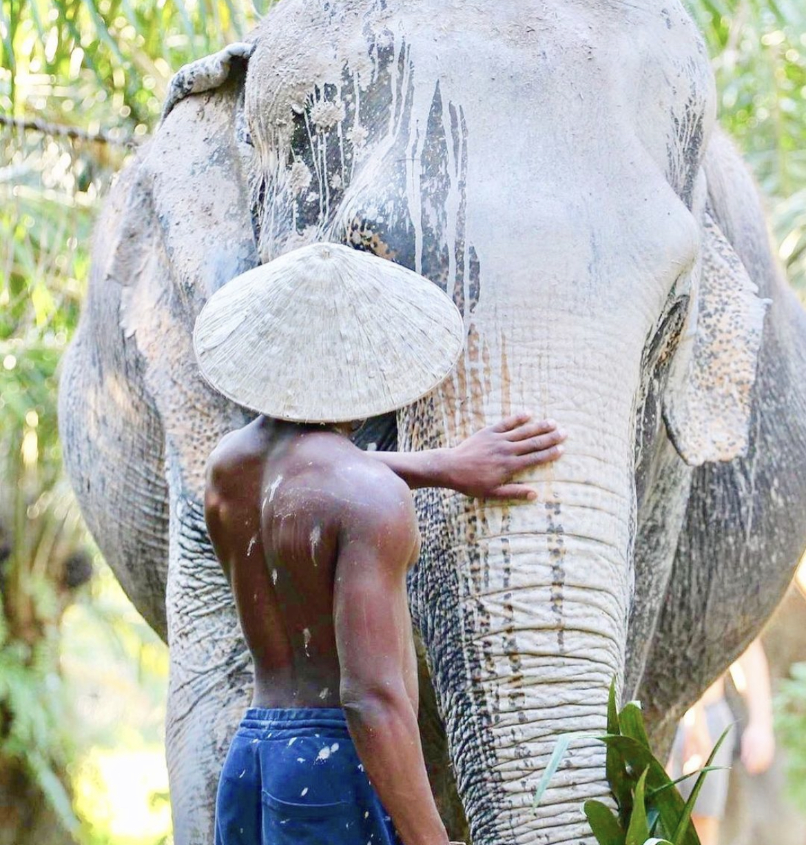 Do's and Don'ts